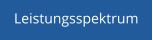 Leistungsspektrum